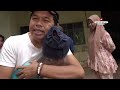 KANG DEDI KETEMU DASTAM TEMAN SEKELAS SMP | SAAT PIKUL RUMPUT UNTUK KAMBING | BPKNYA DIPATUK ULAR