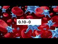 Complete blood count test | CBC | total & differential count of WBC, explanation - part 4 (final)