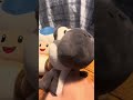 Preston’s First Plush Video