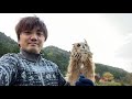 Camping with a pet owl