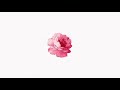 Pink Sweat$ ft. Crush Type Beat ''BLOOM''