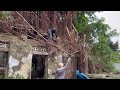 Cutting down dangerous parasitic trees on the roof of a house abandoned for 50 years