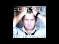 Sky Is Falling  by Coulson