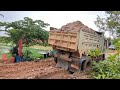 Very Hard Work | Big Helping Dump Truck by Bulldozer from STUCK Wheel in Mud