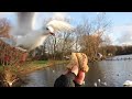 Trying to hand feed Black-Headed Gulls