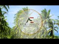 (Vlog#073) 3-hectare farm lot. Along the road w/ Overlooking view from the beach for only 3.5m