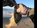 Surf Fishing in Santa Barbara targeting Surf Perch using Grubs