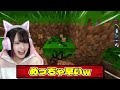 魔法のペットを仲間にしてサバイバルした結果…？【マイクラ / Minecraft】【たまちゃん】