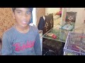 Funny Parrat brother ||Funny Parrat   ||Funny🤣(Taha Brother's Vlogs)