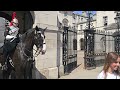 KING'S HORSE MAKES RUSSIAN-AMERICAN TOURIST CRY - I speak with her at Horse Guards!