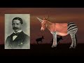 African Unicorn - From Myth to Reality - How a Cryptid was Discovered to be REAL