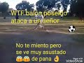 Balón poseído ataca a un señor