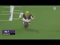 Shrek absolutely destroys Westminster agility championship