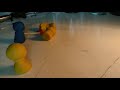 Blue vs Yellow - Stop Motion Animation