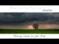 🎧 SOOTHING SPRING RAIN & THUNDER... Nature Sounds for Relaxing, Meditation & Sleep