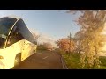 GoPro: Bicycle East Potomac Park Cherry Blossoms 3/22/2012