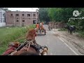चल धन्नो! आज तेरी बसंती की इज्जत...Horse Cart Ride Video of Village #viral #viralvideo #viralvideos