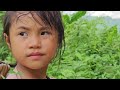fullvideos Poor orphan girl alone overcomes difficulties to make a living - Kieu Trinh TV
