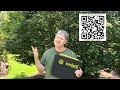 SunJack 60-Watt Portable Solar Panels for Preppers, RV, Van-Life, Power Outages and More!