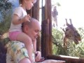 Feeding the giraffes at Oasis Park Zoo in Fuerteventura