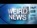 Weekly Weird News #161 (fire-breather vs mariachi band in turf war/plague squirrels running amok)