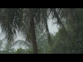 4K Tropical Rain Sounds & Relaxing Nature Video - Sleep/ Relax/ Study/ Meditate - Ultra HD