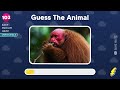 Guess 120 Animals in 3 Seconds | Easy, Medium, Hard, Impossible