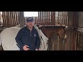 Elite Thoroughbreds Stable Update