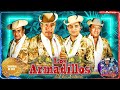 Los Armadillos de la Sierra // Las Mejores Exitos Puros Corridos De Oro // Campirano y Sierreño