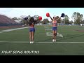2017 SSU CHEER || TRYOUT MATERIAL