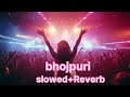 #bhojpuri_song  slowed + reverb😇#plase_subscribe_my_youtube_channel 4k vi...