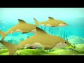 @Octonauts - Family Special! | 120 Mins+ | Cartoons for Kids | Underwater Sea Education