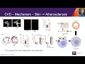 Emerging Mechanistic Data Behind Psoriasis & Cardiometabolic Disease | Johann Gudjonsson, PhD | USA