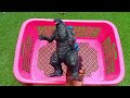 Godzilla monster universe/action figure/toy movie/Godzilla, Dinosaurs, Robot, Superhero