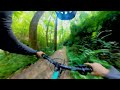 Mountain Biking in Pisgah National Forest (Lower Black)