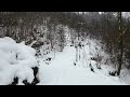 Relaxing virtual walk along a winter river ❄️ | winter river ambience | Austria, Mühlviertel | ASMR
