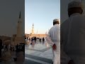 Madina saffar