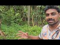 Human Eaters | Cannibal Tribe | Papua | Uma Telugu Traveller