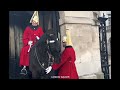 King's Horse bite Tourists ! Funniest Moments of The Year