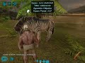 Sacándome la madre para tamear un equus (ARK mobile) server en descripción