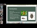 Basic Intro to Entomology