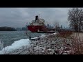 1.12.22 Icy Shore from Cinematic Clips-Apple Devices 4K (HEVC 10-bit, HLG, Dolby Vision 8.4).m4v