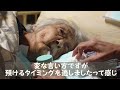 【96歳在宅介護】久し振りに母と出掛けました！病院へ