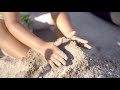 4k Little hands at the beach slow motion footage