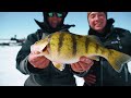 The Best Perch Ice Fishing I've Ever Seen.