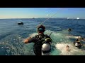 dive with similan seven sea-  mv camic