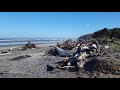 Peaceful cape disappointment beach time alone