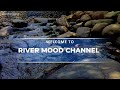 ASMR Relaxing Mouth Sounds, Relaxing Forest Streams, Most Beautiful Nature | Relaxing Water Sounds