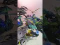 Avatar World of Pandora Playset by McFarlaneToys