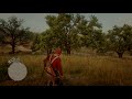 Red Dead Redemption 2 horse commits murder